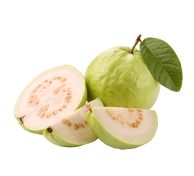 guava1