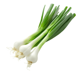 Spring Onions_1